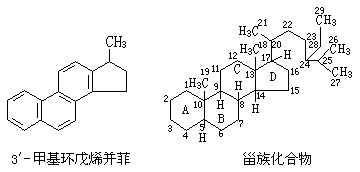 ��ʽ ����