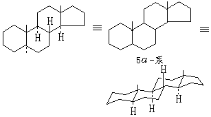 ��ʽ ����