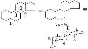 ��ʽ ����