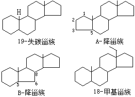 ��ʽ ����