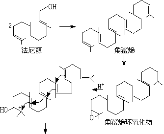 ��ʽ ����