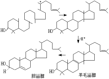 ��ʽ ����