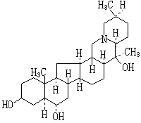 ��ʽ ����