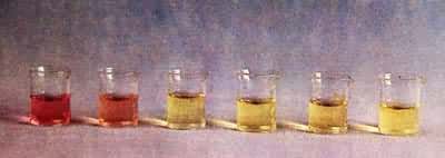 ͼ �׻���ָʾ���ڲ�ͬ�����Һ�е���ɫ�仯(������pHΪ2��4��6��7��8��14)