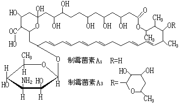 ��ʽ ����