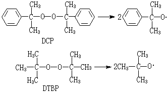 ��ʽ ����