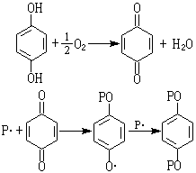 ��ʽ ����