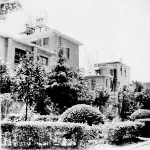 �����ص绯�������̻�