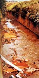 ������������������Ⱦ��С��