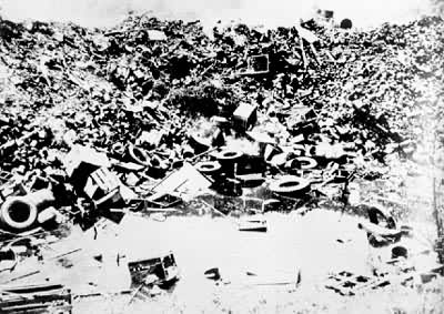 ���������Ⱦ