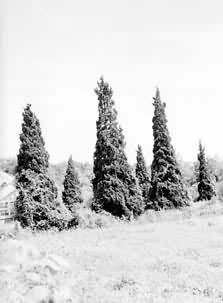 �����Ժ�ǿ�����֡�������