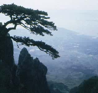 ������۶��������®ɽ������������ʤ�أ��ѱ�Ӫ���Ϊ�ۺ���������