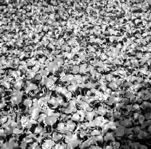 ����ˮ���ؽ���Ԫ�صķ�����