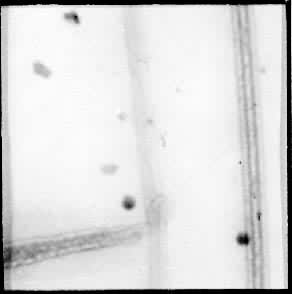 �Ŵ�85 000������ʯ��Ԫ��ά