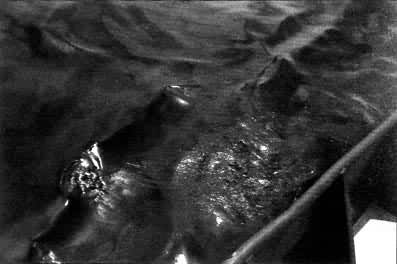 ����ʯ����Ⱦ