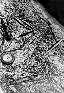 �������������ԴƯ��������������