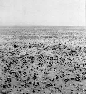 ������Ⱦ��������������