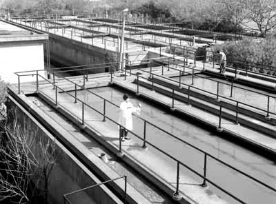 �Ϻ�������ˮ������һ��