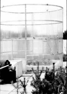 ͼ2������ʽѬ����