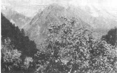 �Ĵ�������Ȼ������