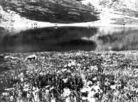 ����ɽ��Ȼ������