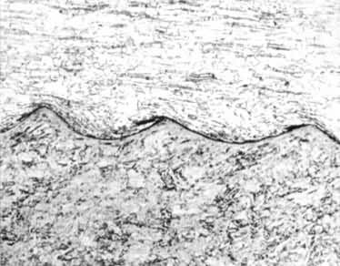 ͼ2����ը�����ӽ��������Ƭ