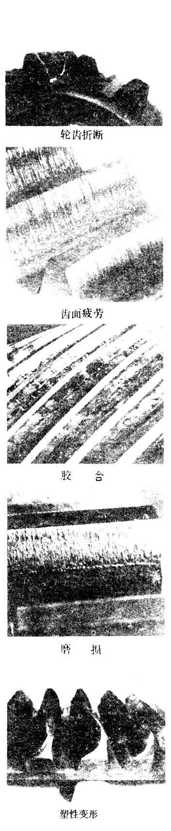 ͼ1�������ֳݵ���ҪʧЧ��ʽ