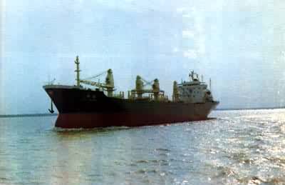 �����������ں�����