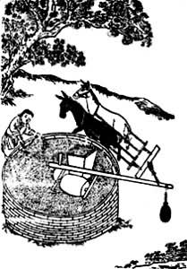 ͼ3������