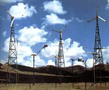 ���������Ⱥ