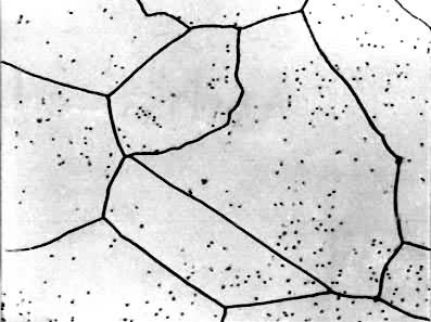 ͼ4�������徧����500����10��������ƾ���Һ����׹�-��ʴ