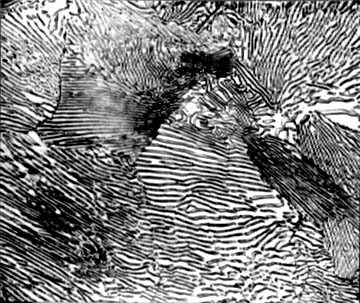 ͼ5��Ƭ״����壨500����4������ƾ���Һ��ʴ