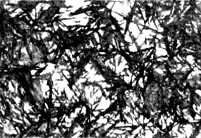 ͼ8����״�����壨500����4������ƾ���Һ��ʴ