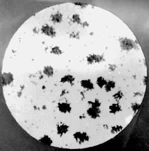 �ɶ���������ͼ