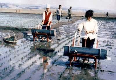 �ֶ�����������