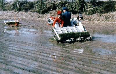 ��������������