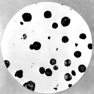 ��ī��������ͼ