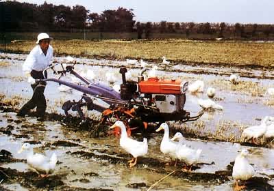 �ַ�����������ˮ��