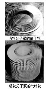 ͼ2�����ַ��ӱõľ�Ҷ�ֺͶ�Ҷ��