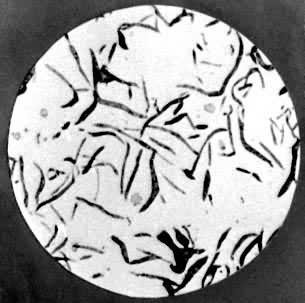 ͼ1���ҿ���������ͼ