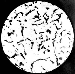 ͼ2����ī��������ͼ