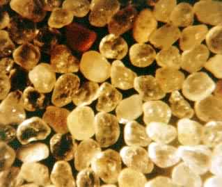 ������Բ��ɰ�ķŴ���Ƭ