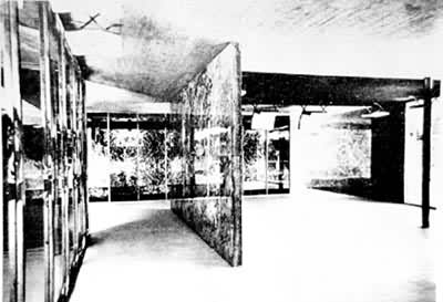 �������ǲ�����¹����ھ�