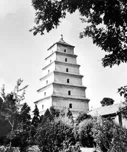 �ȶ�����