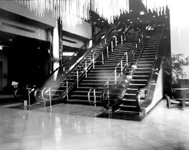 �Զ�����