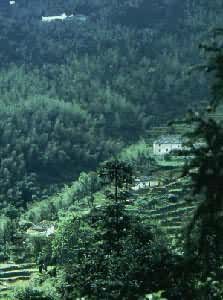 ���վŻ�ɽͨ����̨֮·