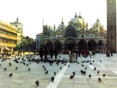 ����˹ʥ���������ã�11��15���ͽ�