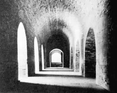 �Ͼ�������������ھ�