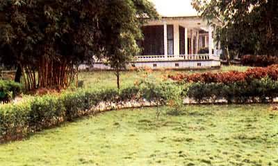 ���ϵ���¡Ȫ���ݵ�����޲�ƺ��ֲ��