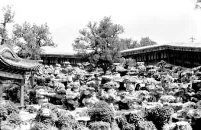 ������������ի��ɽ